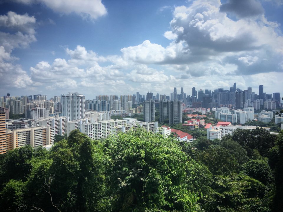 City Skyline