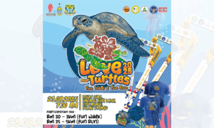 Love Our Turtles 2025 event poster