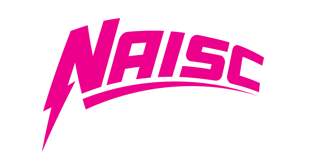 Naisc Global logo